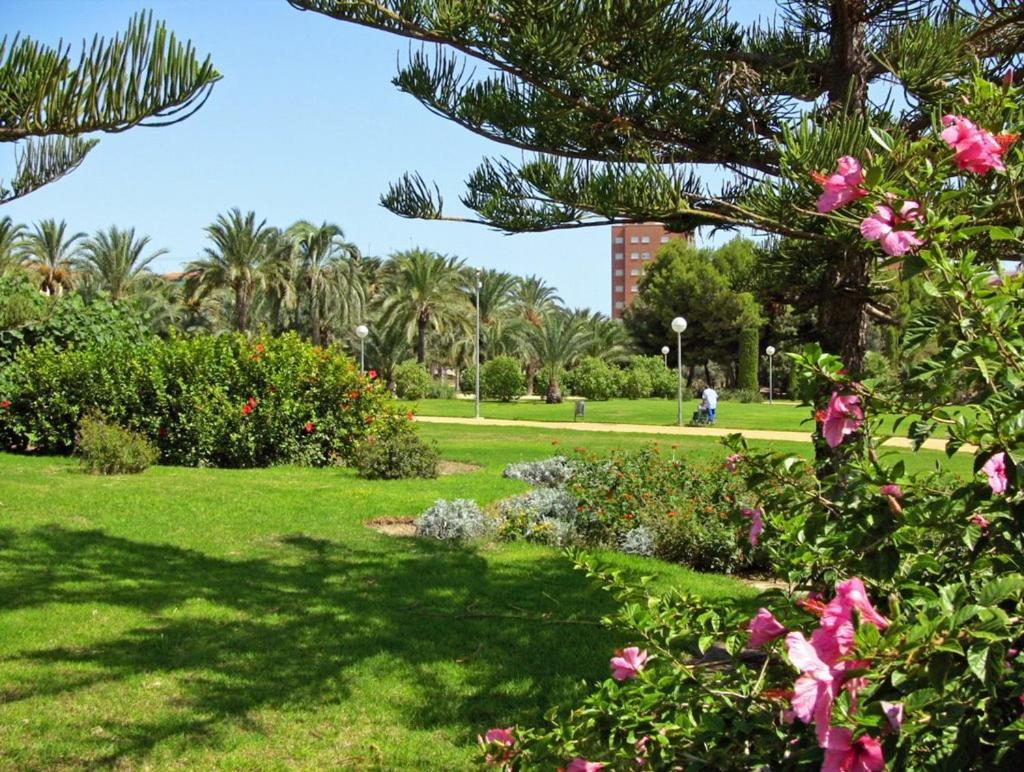 30-3- Бюджетная Комната В Квартире Для 2 Человека, Alicante Apartment Екстериор снимка
